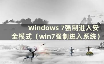 Windows 7强制进入安全模式（win7强制进入系统）